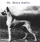 aleric