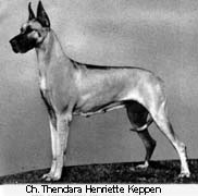 kepen