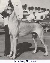jefry