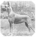  Ch. Squirerun Meadowview Ada