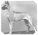 Ch. Thendera Henriette Keppen