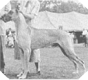 Ch. Tyras v Ralmar